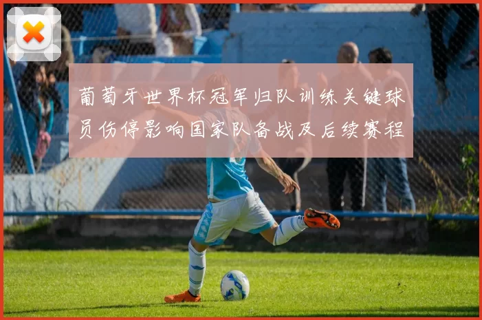 葡萄牙世界杯冠军归队训练关键球员伤停影响国家队备战及后续赛程调整