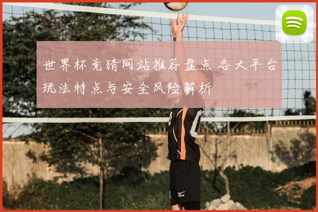 世界杯竞猜网站推荐盘点 各大平台玩法特点与安全风险解析